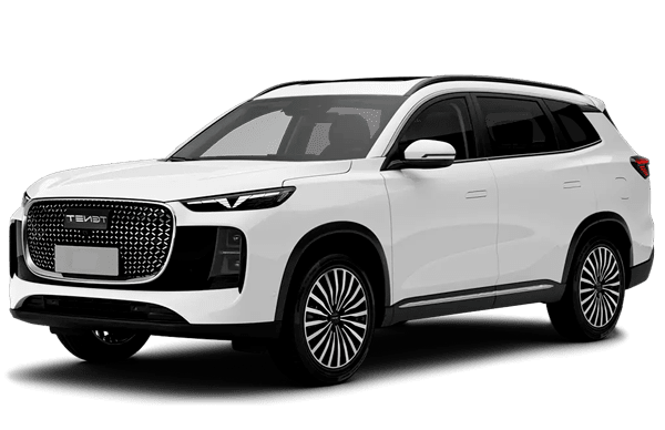 Модель T8